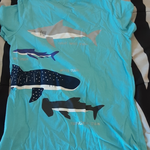 Youth shark shirt - Picture 2 of 2